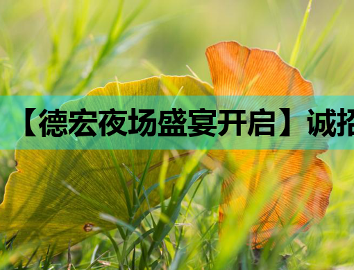 【德宏夜场盛宴开启】诚招精英人才，共创美好夜生活！