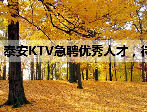 泰安KTV急聘优秀人才，待遇优厚，速来加入！