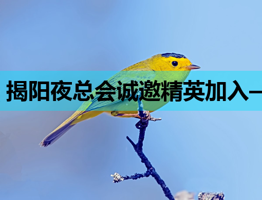 揭阳夜总会诚邀精英加入——银川夜场、潍坊KTV经验者优先