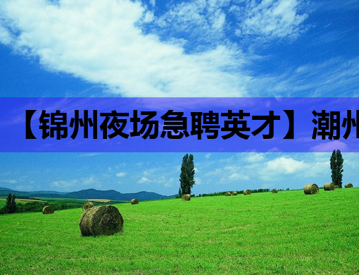 【锦州夜场急聘英才】潮州KTV招聘网同步发布，安庆夜店招聘公关经验者优先！
