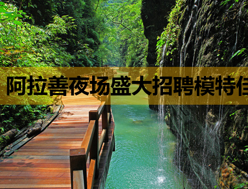 阿拉善夜场盛大招聘模特佳丽，待遇优厚，欢迎加入！