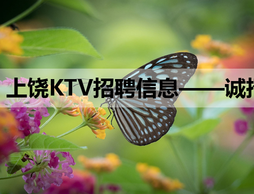 上饶KTV招聘信息——诚招模特与公关人才，佳木斯廊坊同招