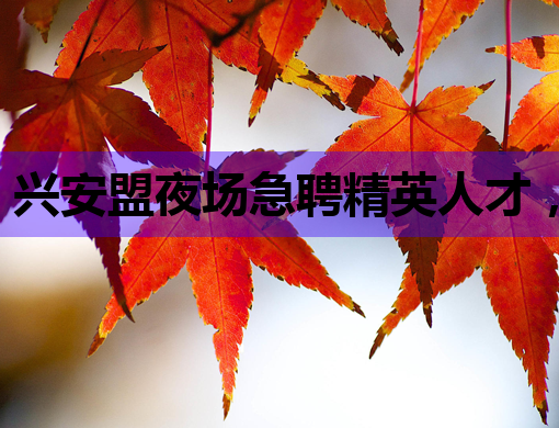 兴安盟夜场急聘精英人才，高薪职位等你来挑战！