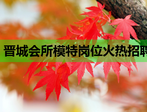 晋城会所模特岗位火热招聘中，高薪诚聘气质佳人