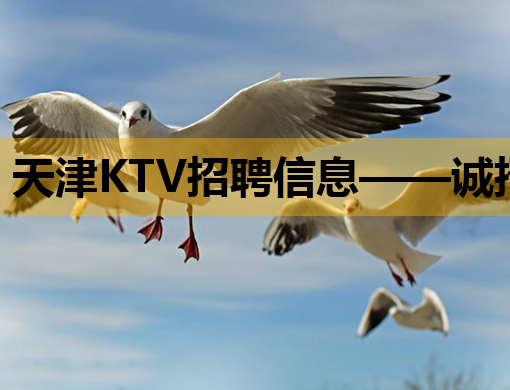 天津KTV招聘信息——诚招优质服务人员，待遇优厚