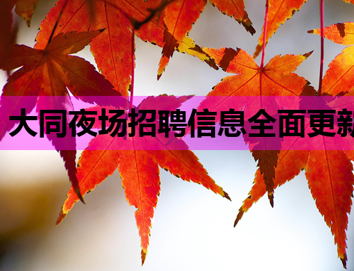 大同夜场招聘信息全面更新，优质岗位等你来挑