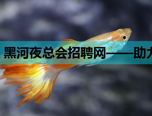 黑河夜总会招聘网——助力娱乐行业人才高效就业