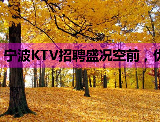 宁波KTV招聘盛况空前，优质岗位等你来挑战！