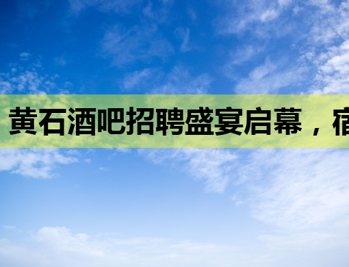 黄石酒吧招聘盛宴启幕，宿迁KTV模特岗位等你来，漳州夜店风情一览