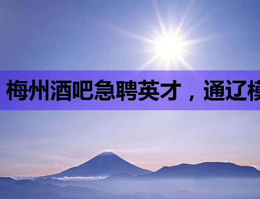 梅州酒吧急聘英才，通辽模特、雅安夜场同步热招！