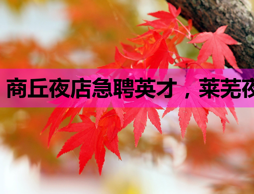 商丘夜店急聘英才，莱芜夜场招聘网助力德宏酒吧发展
