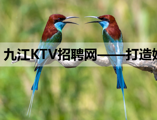 九江KTV招聘网——打造娱乐行业人才招聘新平台