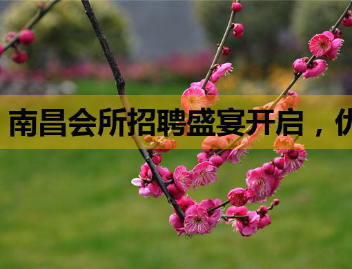 南昌会所招聘盛宴开启，优质岗位等你来挑战！