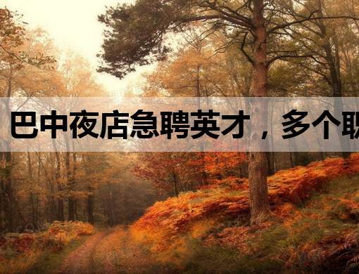 巴中夜店急聘英才，多个职位等你来挑战——巴中夜店招聘信息