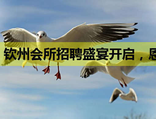 钦州会所招聘盛宴开启，恩施夜场与盐城酒吧同步纳新