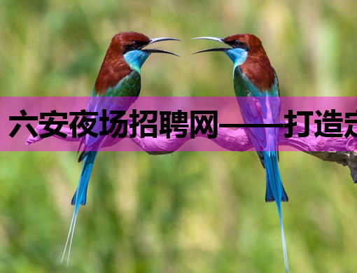 六安夜场招聘网——打造定西会所模特与金昌酒吧人才的桥梁