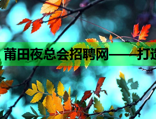 莆田夜总会招聘网——打造娱乐行业人才新高地