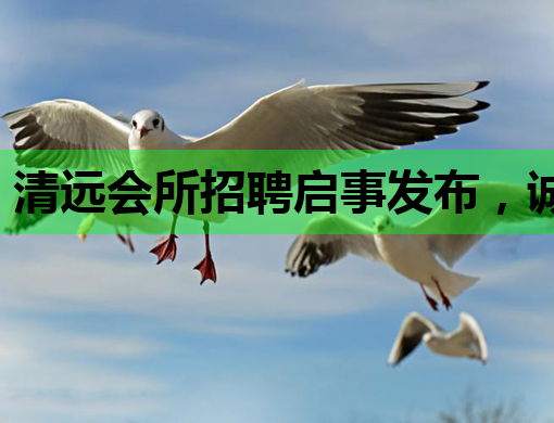 清远会所招聘启事发布，诚邀优秀人才加入！