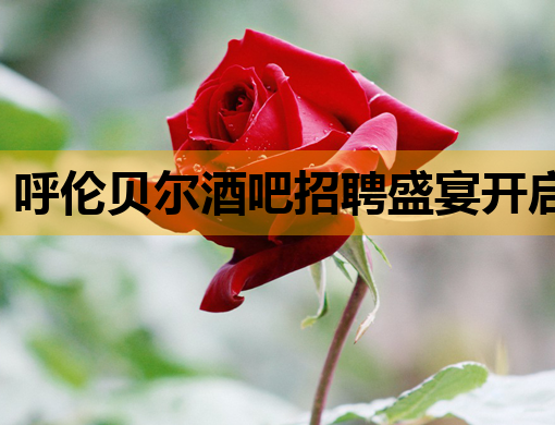 呼伦贝尔酒吧招聘盛宴开启，日照夜店招聘信息同步更新，松原夜总会诚邀模特加盟