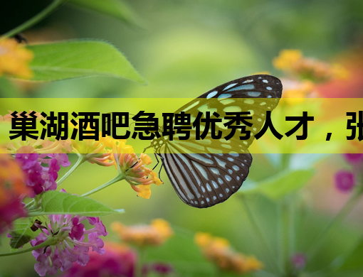 巢湖酒吧急聘优秀人才，张家口夜场诚邀精英，丽水KTV招聘公关
