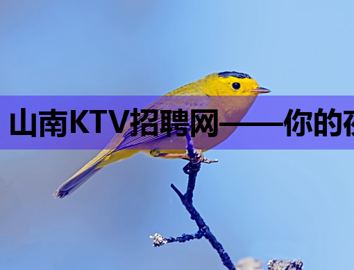山南KTV招聘网——你的夜生活职业新起点
