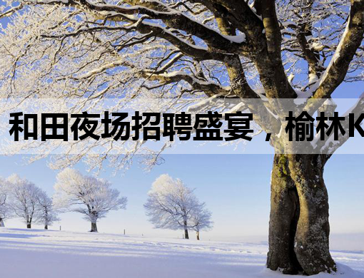 和田夜场招聘盛宴，榆林KTV、阳江酒吧职位抢先看！