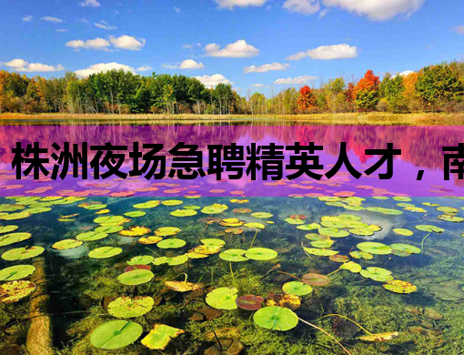 株洲夜场急聘精英人才，南平KTV模特与泰州夜店公关同步招募