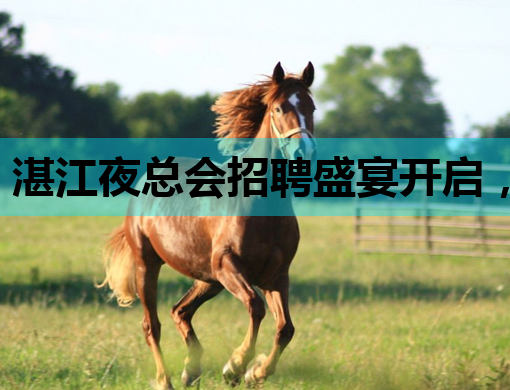 湛江夜总会招聘盛宴开启，诚邀行业精英加入！