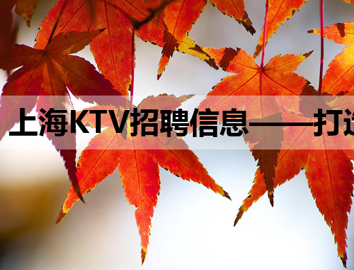 上海KTV招聘信息——打造您的职场音乐之旅