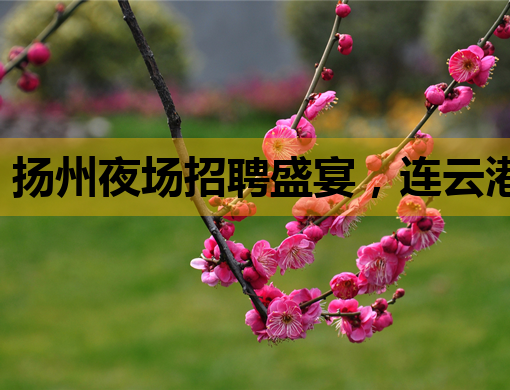 扬州夜场招聘盛宴，连云港KTV招聘网助力，重庆夜总会经验分享