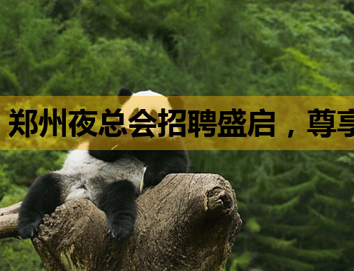郑州夜总会招聘盛启，尊享高薪职位等你来