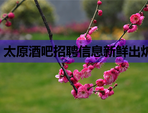 太原酒吧招聘信息新鲜出炉，高薪诚聘英才共创辉煌！