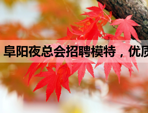 阜阳夜总会招聘模特，优质平台等你来挑战