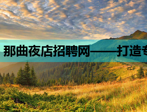 那曲夜店招聘网——打造专业的夜生活职业平台