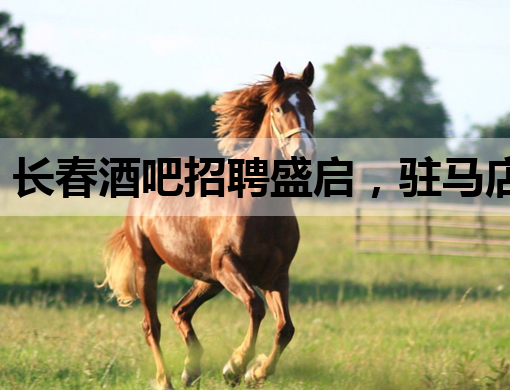 长春酒吧招聘盛启，驻马店会所与商洛KTV同步纳新