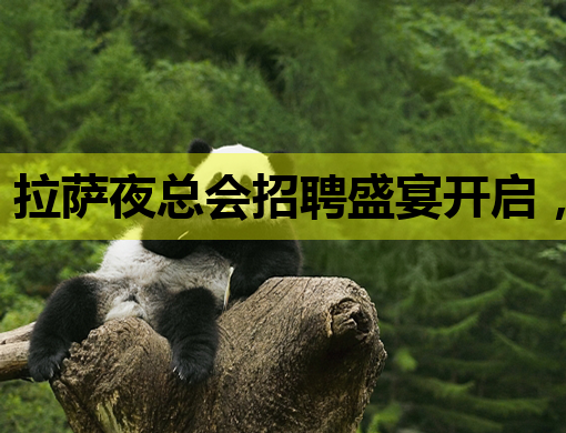 拉萨夜总会招聘盛宴开启，高薪诚聘各界精英