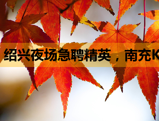 绍兴夜场急聘精英，南充KTV模特与常德夜店公关同步热招