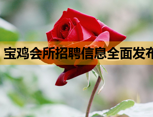 宝鸡会所招聘信息全面发布，诚邀优秀人才共创辉煌