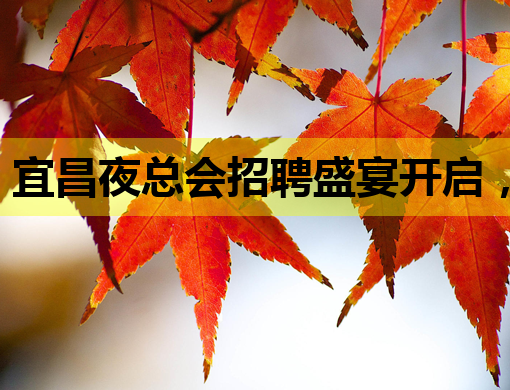 宜昌夜总会招聘盛宴开启，吕梁会所招聘网同步更新，梅州KTV诚邀模特加盟