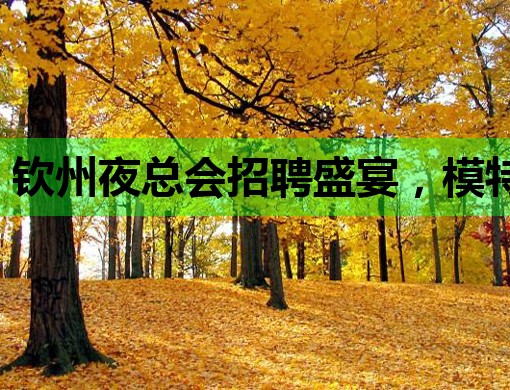 钦州夜总会招聘盛宴，模特公关职位等你来挑战