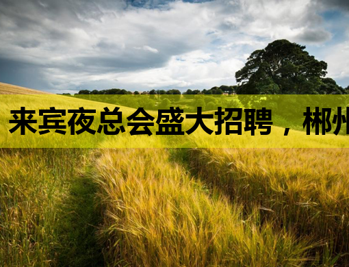 来宾夜总会盛大招聘，郴州阿勒泰等地热聘人才