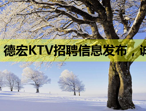 德宏KTV招聘信息发布，诚招热情服务人才共创美好夜生活