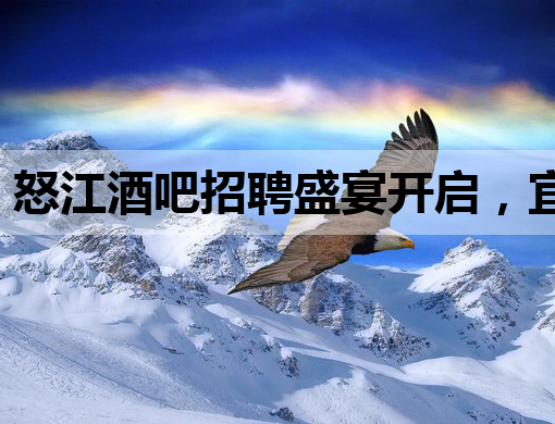 怒江酒吧招聘盛宴开启，宜宾会所模特嘉兴KTV等你来
