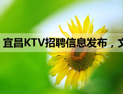 宜昌KTV招聘信息发布，文山夜总会同步招聘模特
