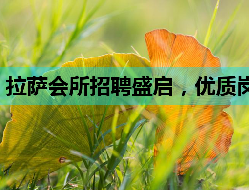 拉萨会所招聘盛启，优质岗位等你来挑战！