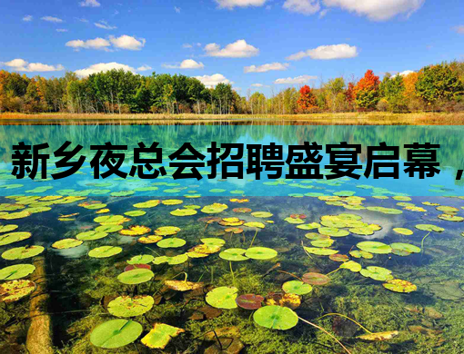 新乡夜总会招聘盛宴启幕，星光璀璨等你来