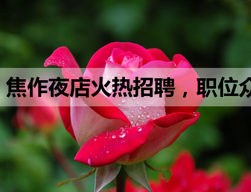 焦作夜店火热招聘，职位众多等你来挑！