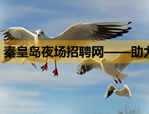 秦皇岛夜场招聘网——助力娱乐行业人才高效匹配