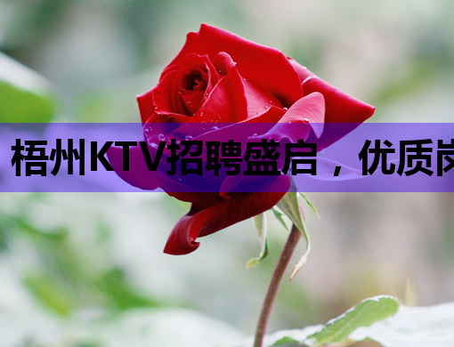 梧州KTV招聘盛启，优质岗位等你来挑战！