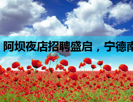 阿坝夜店招聘盛启，宁德南充同步热招，模特职位等你来